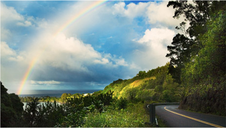 Take a private luxury tour to Hana, Maui